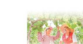 旗帜鲜明讲政治 不折不扣抓落实（深度关注·把好传统带进新征程（16））