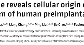 汤富酬/文路团队与乔杰/黄锦团队合作利用DNA甲基化追溯囊胚培养液中游离DNA细胞来源