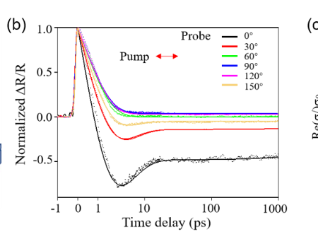 物理学院孙栋课题组在第二类外尔半金属钽铱碲各向异性响应动态演化过程研究中取得重要进展